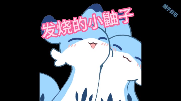 40度的发烧小鼬子谁不爱！