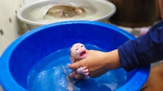 Crying Seizure!! Tiny adorable Luca crying loudly doesn't want to take a bath with Yaya