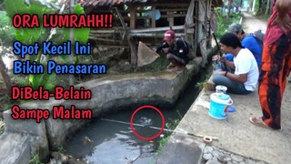 Mancing Yang Bikin Penasaran || Dibela-Belain Sampe Malam