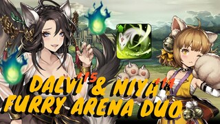 Dalvi +15 and Niya +14 Arena Testing!!!;狐狸+15 and 尼亞+14測試![Brown Dust/브라운더스트/ブラウンダスト/棕色塵埃]