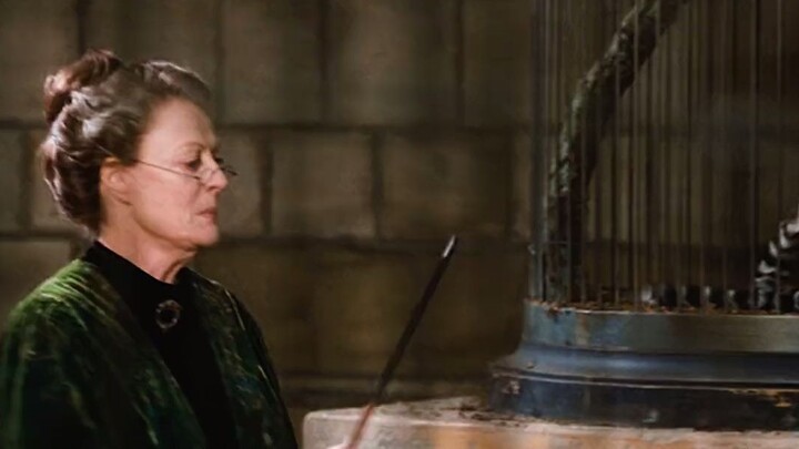 Although Ron doesn't know anything about magic, he is still very talented in playing chess#Harry Pot