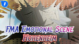 Fullmetal Alchemist Emotional Scenes - Hohenheim visit Trisha's Grave + Sad ED_1