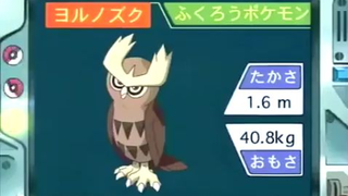 オーキド博士のポケモン講座(ヨルノズク)