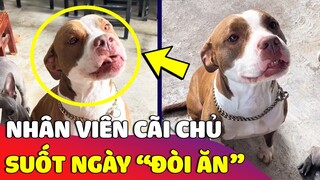 Con sen 'BỐC PHỐT' thanh niên có 'NẾT ĂN' quá nhiều nhưng lúc nào cũng kêu đói 😅 | Gâu Đần