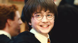 "Harry, kamu melindungi dunia sihir, kami melindungimu" - "Harry Potter 4K"