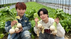 JPOP JO1 SHO AND SYOYA EATING ONIONS