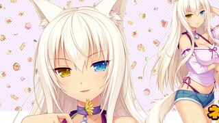 NEKOPARA Kelapa 1/4 Gambar Membongkar~Native Binding~