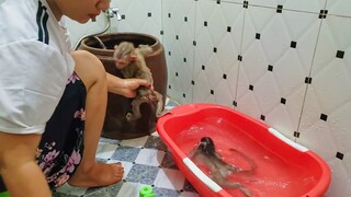 Routine Bathing!! Tiny Toto so happy with diving & swimming but Yaya doesn't want take a bath