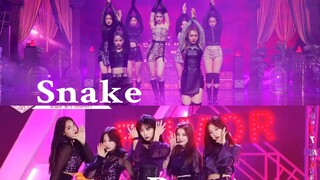 [Super fit] Apa yang terjadi ketika ular bertemu dengan koreografer rumor?