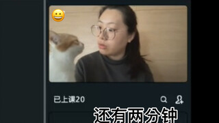 当我在家给学生上网课，我们家猫非得来讲两句…