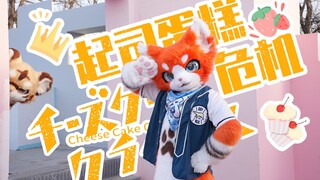 【兽装舞蹈】是新的橘猫猫？吸一下！/起司蛋糕危机（明明是面包…） by 瑞狩/チーズケーキクライシス 足太Penta ver.