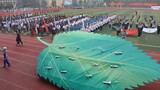 杭州中学 814 入场式表演 (为什么814这么优秀救命，难道是随班主任？