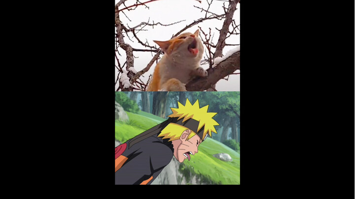 #Naruto#giống nhau