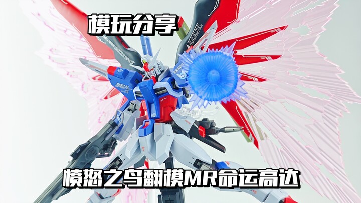 【e鸽模玩】愤怒之鸽！真愤怒之鸟翻模MR命运高达！