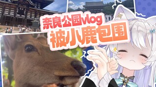 大阪猫猫被鹿乃子乃子包围了！！【天占milo_O vlog】