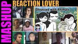 My Childhood Obsession with Animals REACTIONS MASHUP
