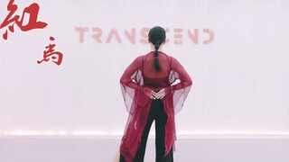 【全盛舞蹈工作室】好灵动！《红马》中国风爵士编舞练习室
