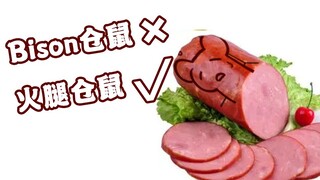 Bison仓鼠这个名字的由来