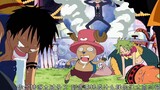 There are no normal people in the Straw Hats series (27)!