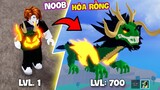 Blox Fruits - Tôi bắt đầu với trái Dragon hóa rồng level 1 trong (level 1 to level 700 in Roblox)