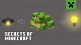 The Secrets of Minecraft: How We Invented Frogs