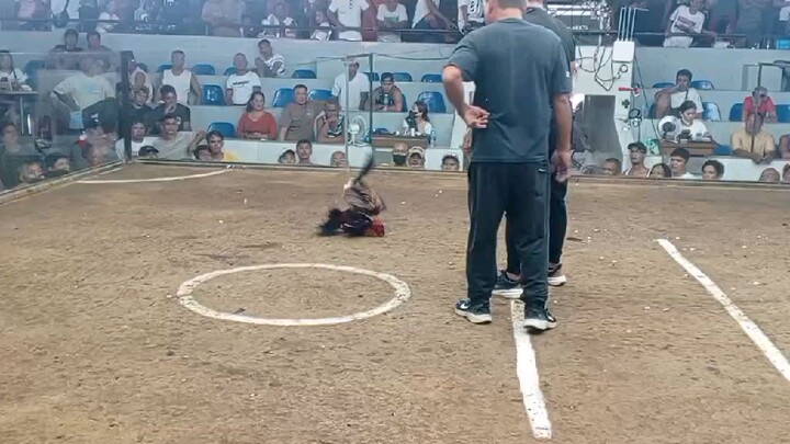 KUMPAREHAN...*win*