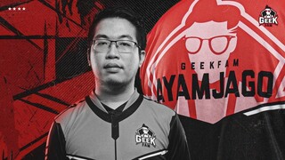 TERIMA KASIH AYAM "APANG" AYAM JAGO