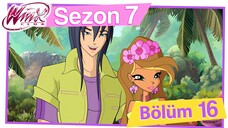 Winx Club - Sezon 7 Bölüm 16 - Cennet Koyu'na Dönüş