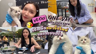 vlog 1 day with lookkeaw กับการเปิดตัวสมาชิกใหม่ของครอบครัว