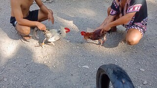 Kanawayon winner