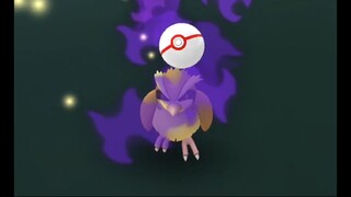 Pokémon GO-Shadow Pidgey