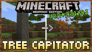 แจก+สอนลง Minecraft PE Addon ตัดไม้รวดเดียวสำหรับ 1.18 - 1.19 Definitive Tree Capitator