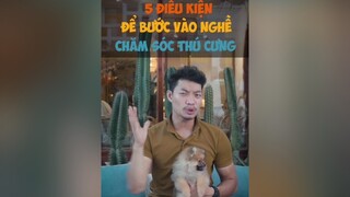 Trả lời  5 điều kiện để bước vào nghề chăn sóc thú cưng tiktokhuongnghiep dcgr tuitienpet