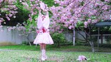 【Fan Ketchup】V's Divine Comedy ten years ago? The Renaissance "Senbonzakura" dances under the cherry