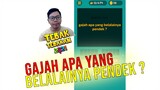 Gajah apa yang belalainya pendek ? - Tebak Tebakan Bagian 2