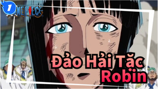 [Đảo Hải Tặc/AMV] Tôi sống vì ước mơ tôi--- Robin_1