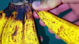 Amazing! I love Banana but is this real???