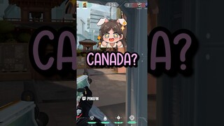 PINE visits SIRI in Canada..