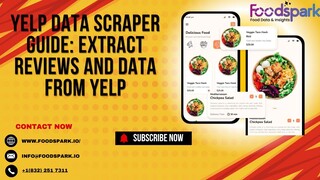 Yelp Data Scraper Guide: Extract Reviews and Data from Yelp