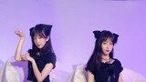 [E-Xiao-Tu] How can you detect the cat's steps? AOA's cat steps are light and playful