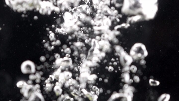 Hôm nay tôi chụp ảnh Hoa sen tuyết trong ký túc xá của mình và biến nó thành Hoa sen tuyết Niu Hulu