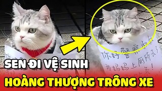 HOÀNG THƯỢNG GIỮ XE giúp sen để LẤY LÒNG CSGT không phạt vì đậu chỗ cấm 😂 | Yêu Lu