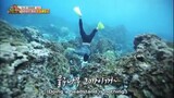 law of jungle EP.347 (eng sub)