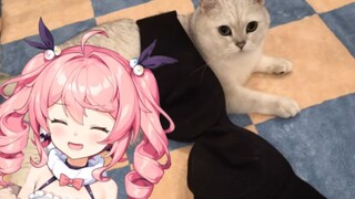 [Zaodaoji] My cat is wearing my bra?!