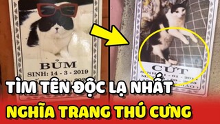 Buổi truy tìm nhân vật có tên ĐỘC LẠ nhất tại Nghĩa Trang Thú Cưng 😅 | Yêu Lu