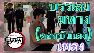 [ดาบพิฆาตอสูร] เพลง | บรรเลงริมทาง (ดอกบัวแดง)