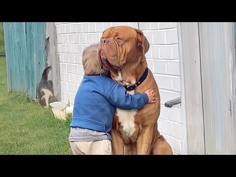 Funny Dog and His Baby Brother Create Cherished Memories Together ❤