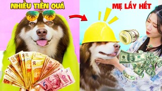 Thú Cưng Vlog | Gia Gia Đáng Yêu Và Mẹ #8 | Chó Gấu Alaska thông minh vui nhộn | Cute smart dog pet