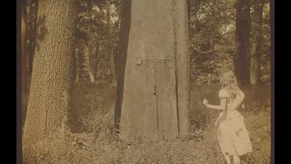 Estetika Aneh - Alice in Wonderland (versi 1915 sangat elegan dan hidup, dengan kesan kebingungan wa