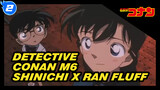 M6 Shinichi x Ran Fluff | Detective Conan Edit_2